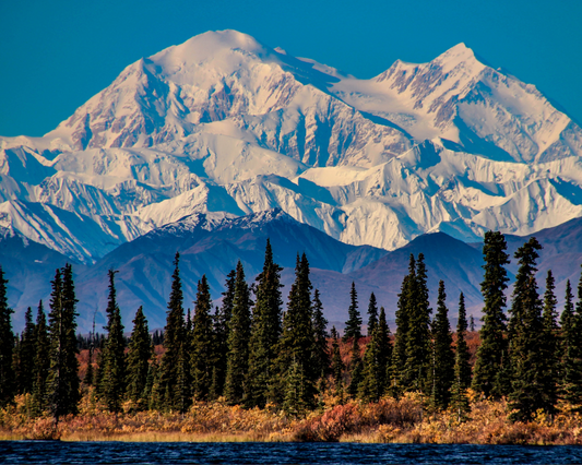 ALASKAN BOREALIS